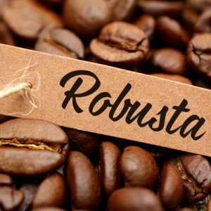 cafe robusta lc