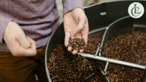 cafe rang xay loai nao ngon 1