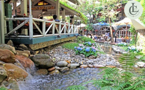 Mien Dong Thao Coffee 1