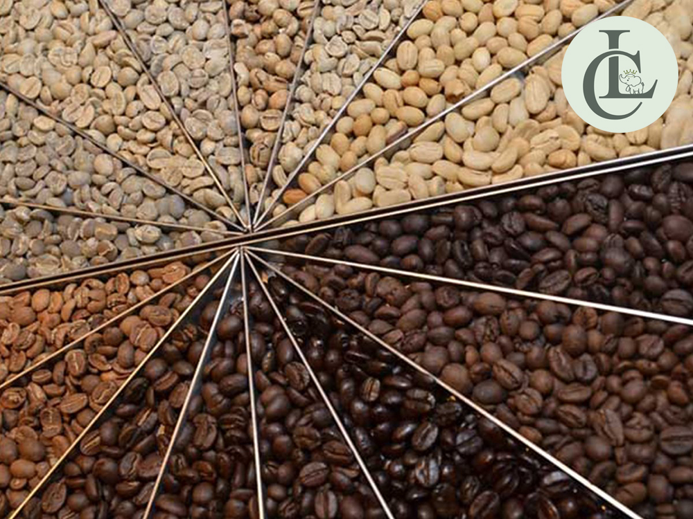 Cung cấp cà phê cho quán