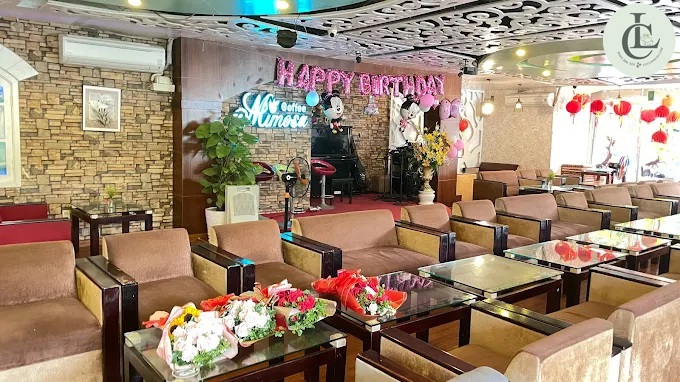 Mimosa Coffee – 312 Lạc Long Quân, P. Hòa Bình, Q.11