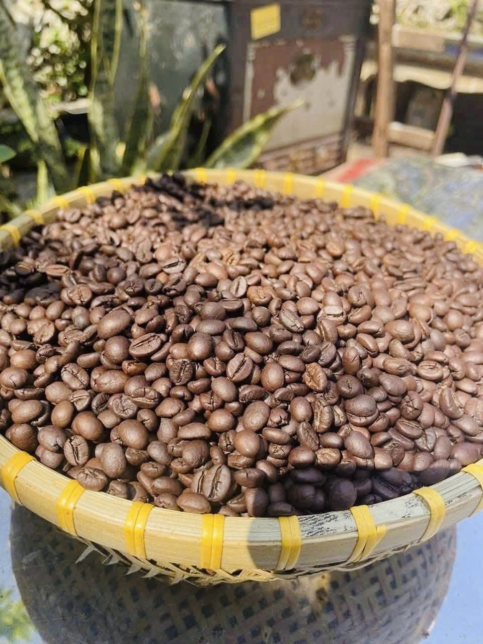 Cafe Robusta rang mộc được đông đảo người dùng lựa chọn