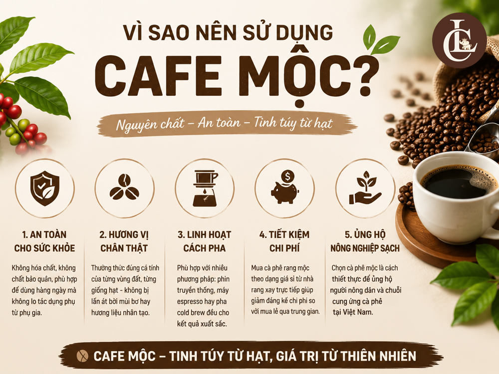 Lý do nên sử dụng cafe mộc