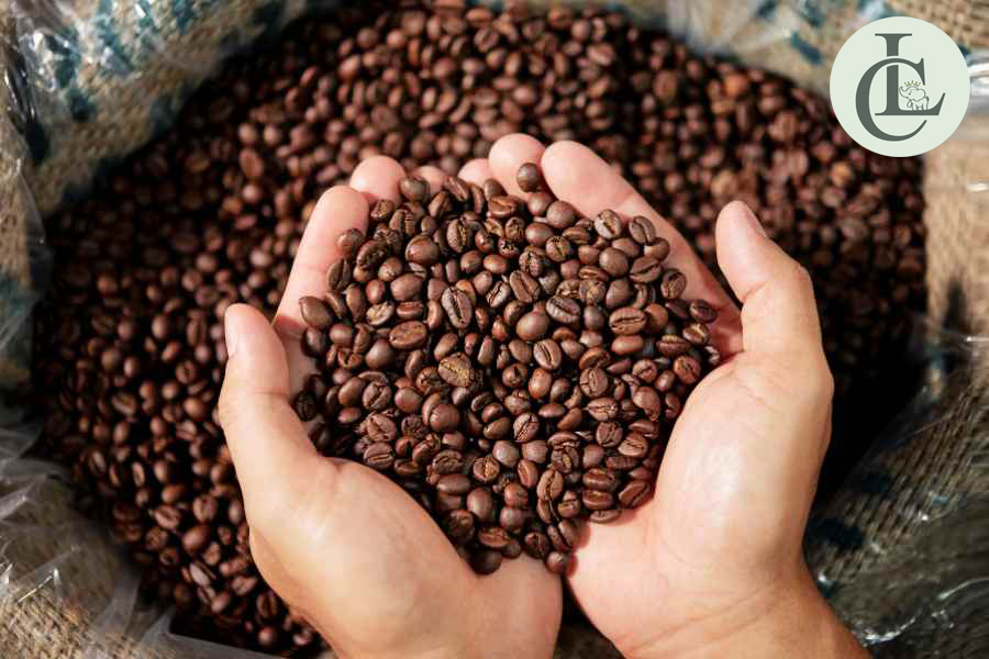 cafe mix robusta va arabica